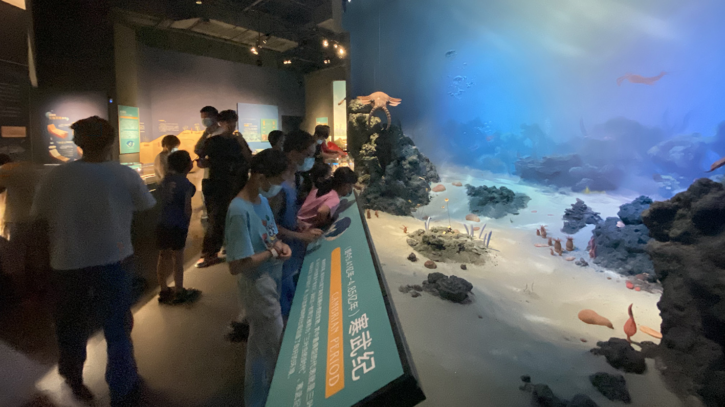 漫走設計丨打卡順德自然科學館，探索“快樂星球”！